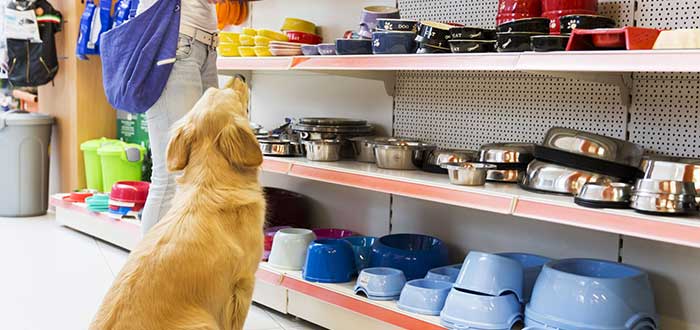 oportunidades de negocios en el sector de las mascotas en Peru