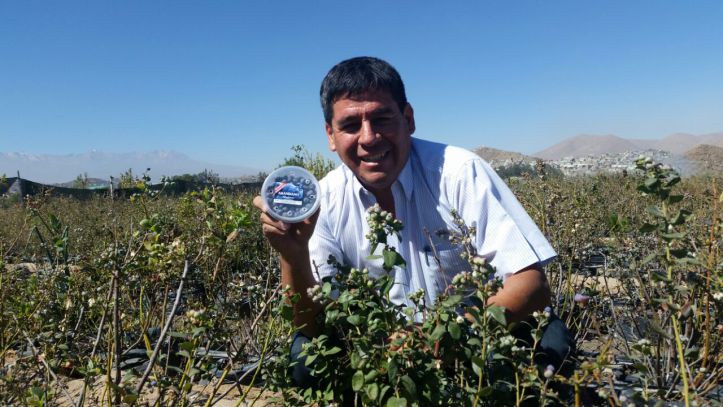Jorge Lozada: “En berries hay un modelo de negocio para todos”